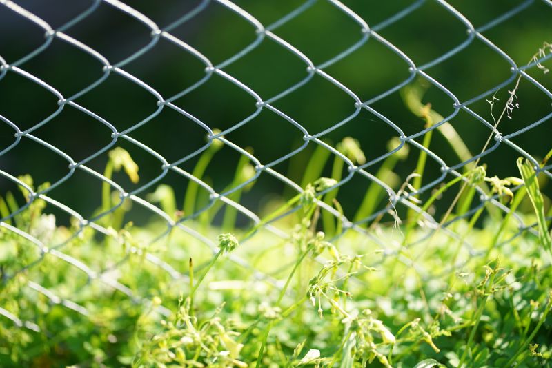 Chain Link Fence Replacement in South Houston, TX