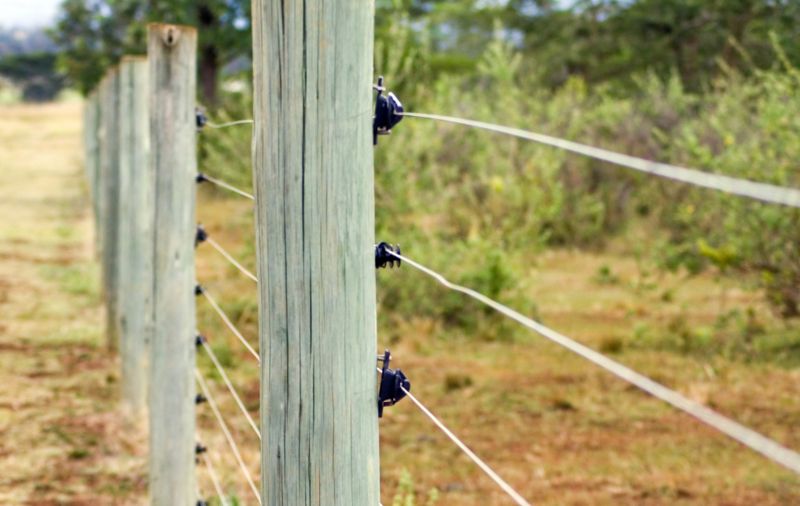Well-installed fence posts contribute to a clean